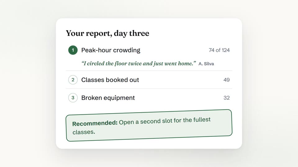 The report builds itself line by line