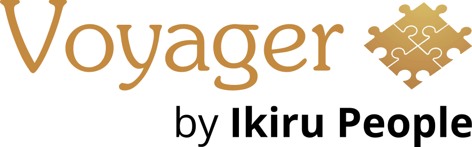 Voyager Infinity